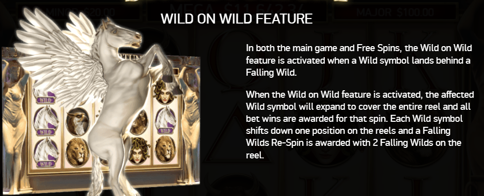 Wild on Wild